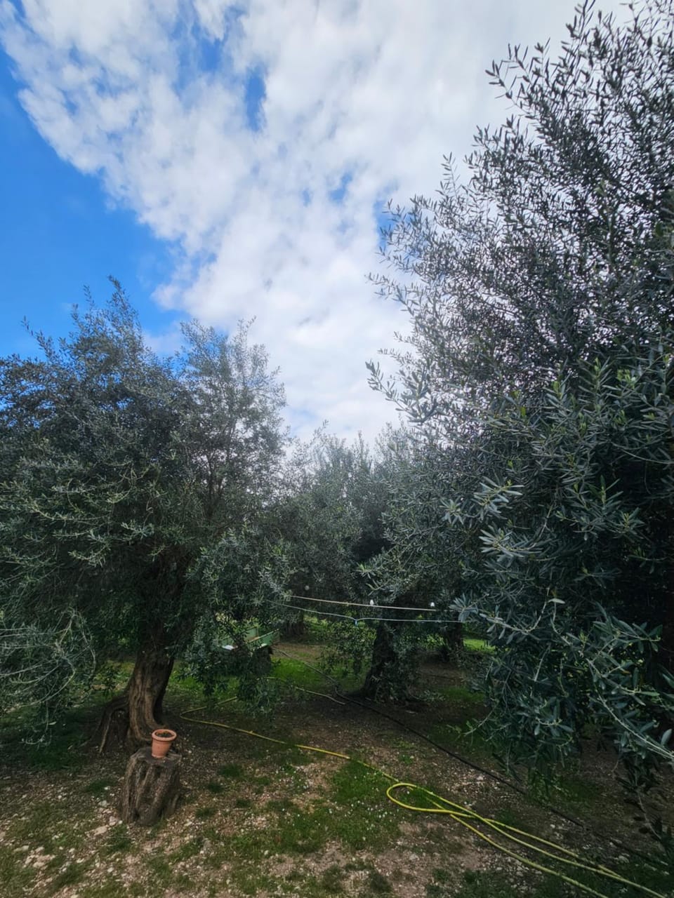 Amelia Room's Bed and Breakfast in Vlorë County, Albania