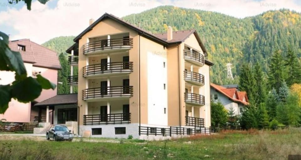 Ami's slope view Apartment in Brasov