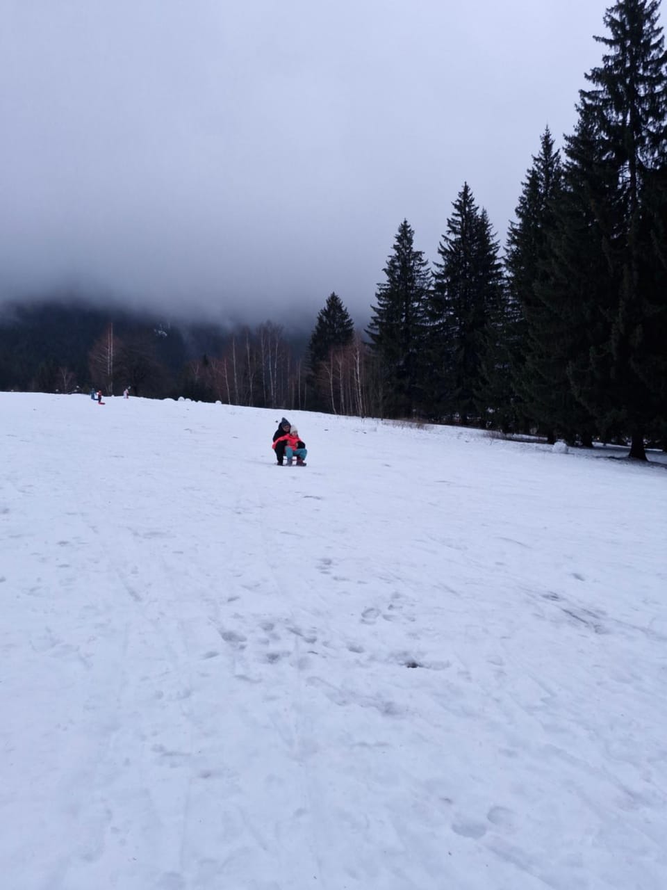 Natural landscape, Winter