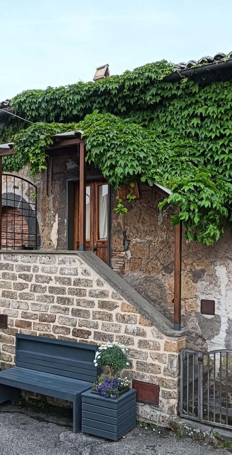 View (from property/room), Street view