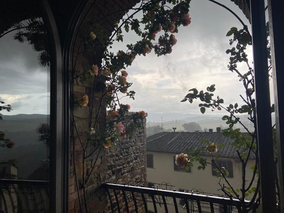 View (from property/room)