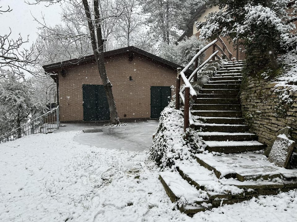 Property building, Garden, Garden view
