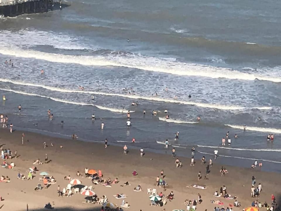 Have breakfast overlooking the sea, just a short walk from everything Apartment in Mar del Plata