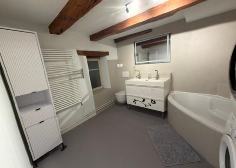 Rooms4Rent Vacation rental in Basel