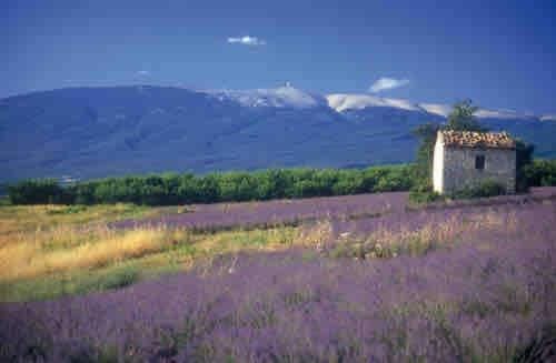 Villa CARLA with private pool House in Sorgues