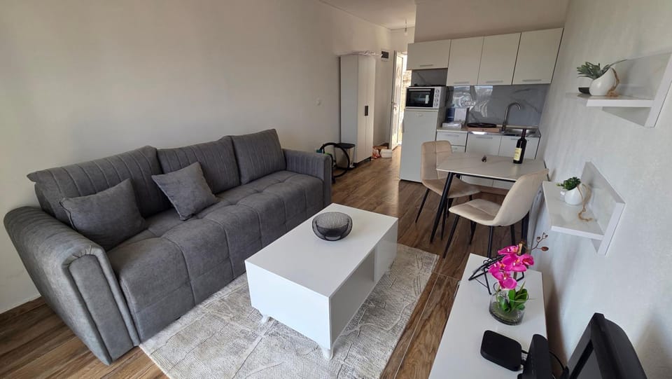 The Royal view 1 Apartment in Podgorica