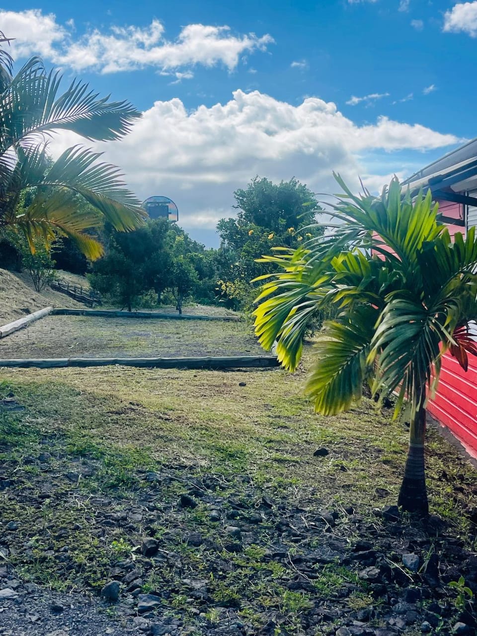 Day, Garden