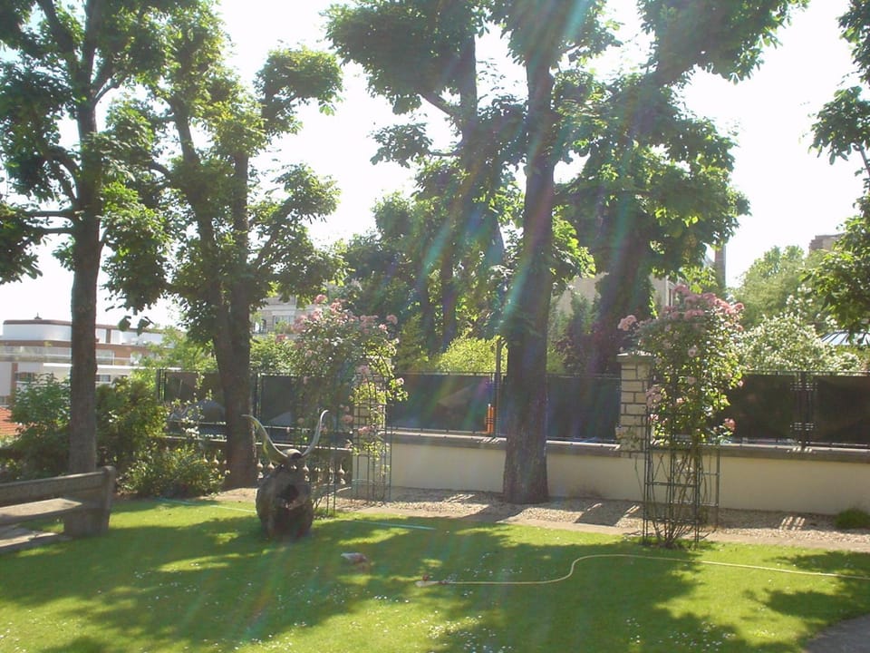 Garden, Garden view, Garden view