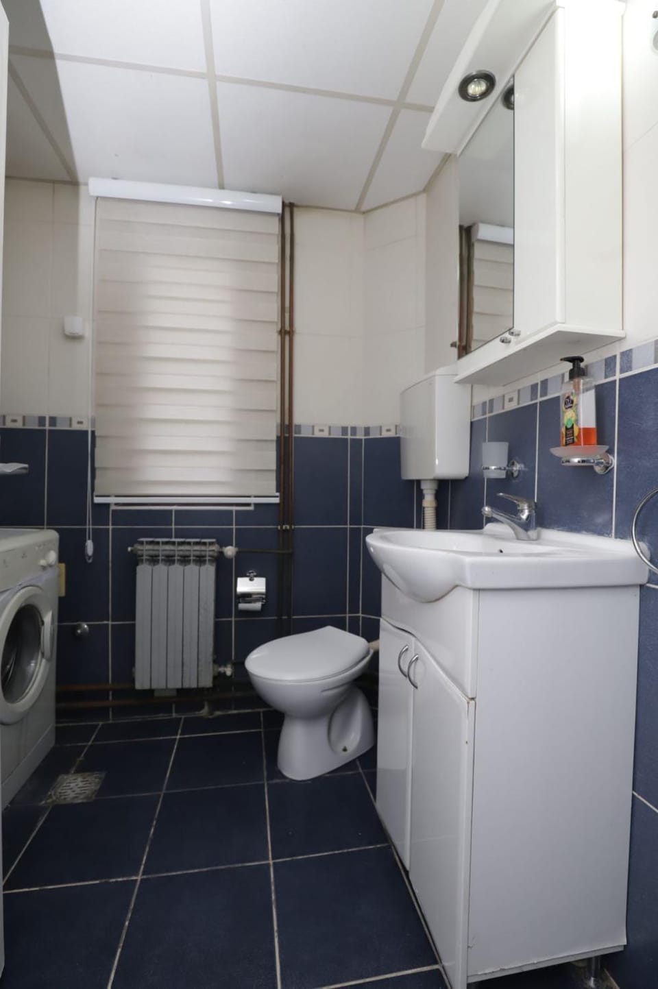 APARTMAN MIRKo Apartment in Serbia