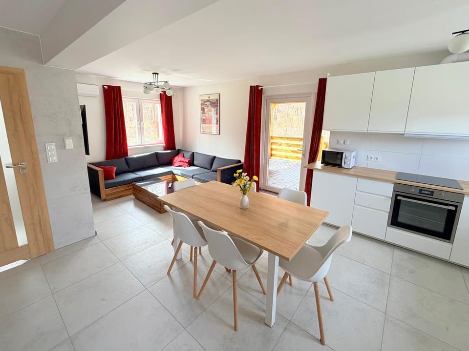Kitchen or kitchenette, Living room, Seating area, Dining area, oven, stove