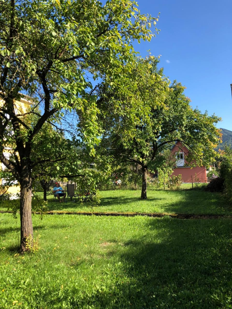 Löwenzahn Apartment in Austria