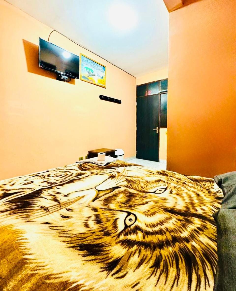 Bed, TV and multimedia, Bedroom