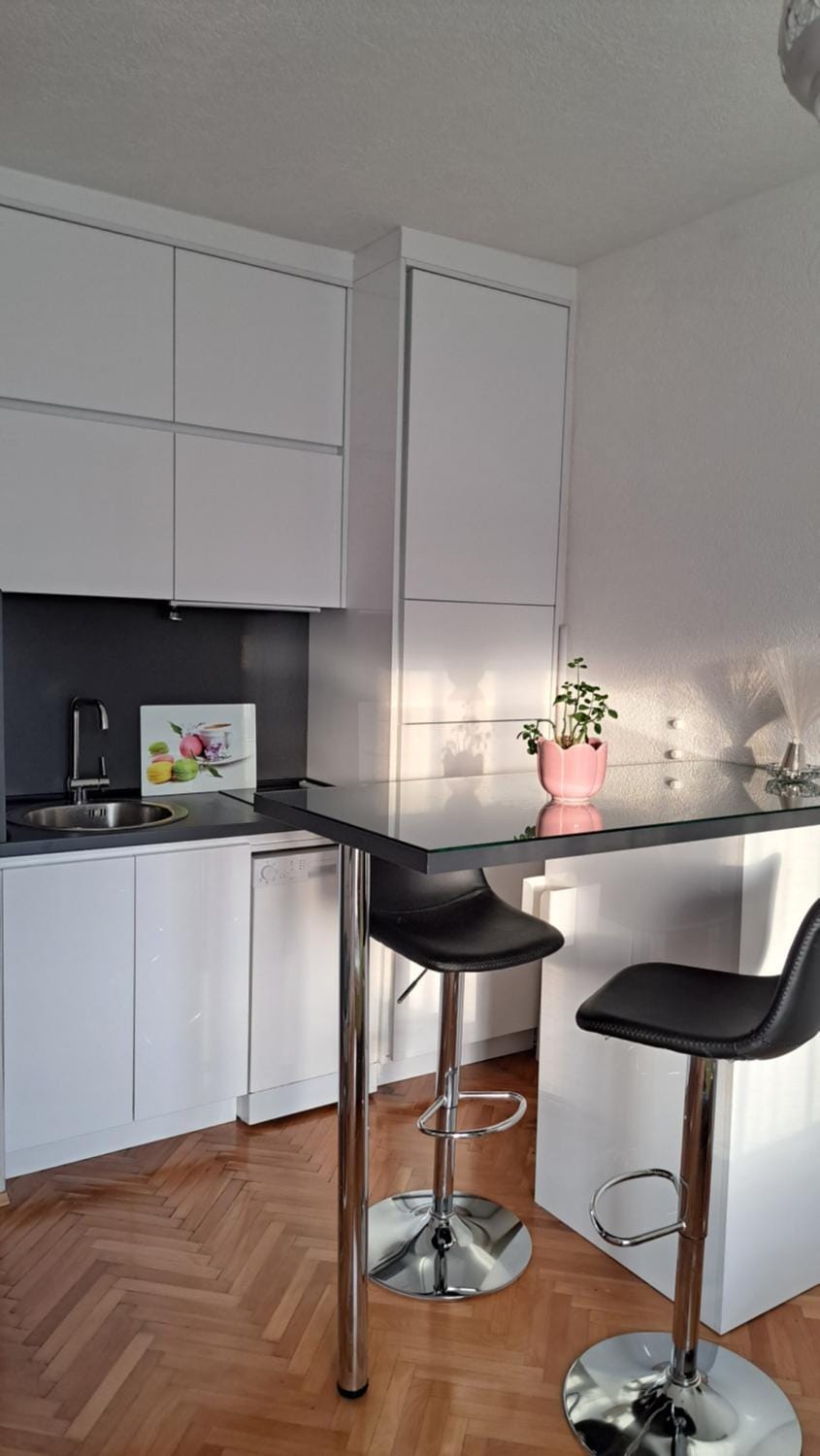 Nina Apartment - CENTRAL STATION Apartment in Podgorica