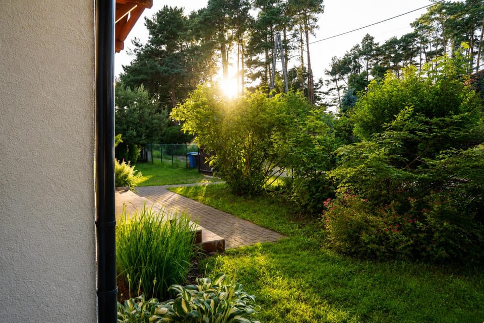 Garden, Garden, Garden view