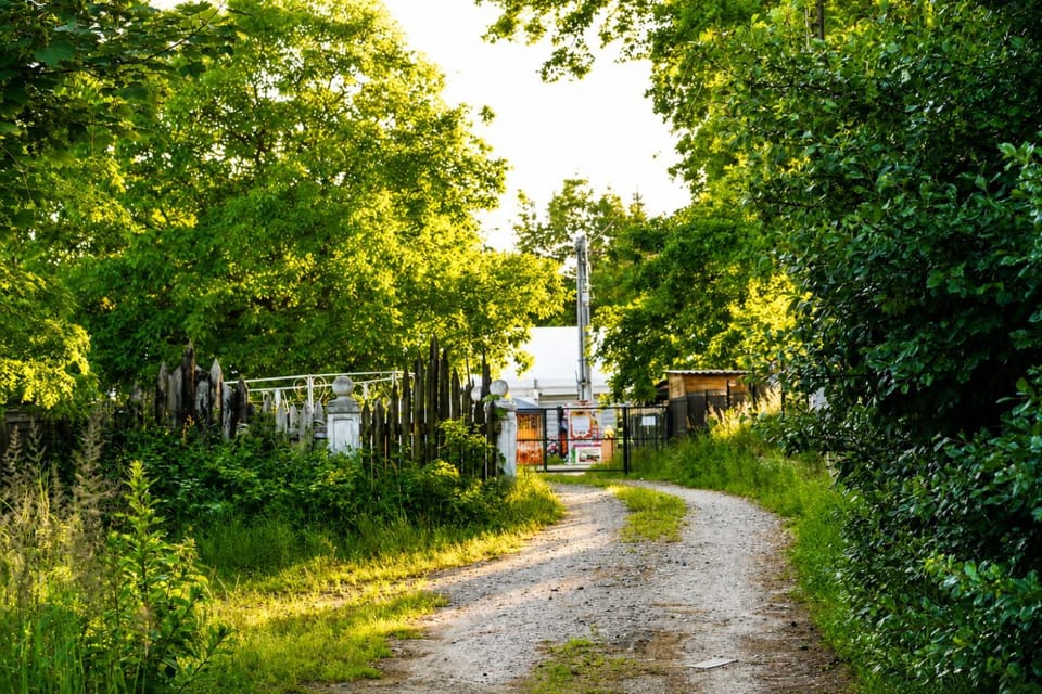 Garden, Garden, Street view, Street view, Quiet street view