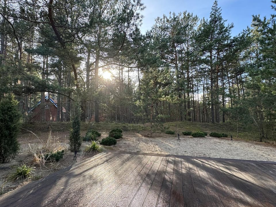 Spring, Natural landscape, View (from property/room)