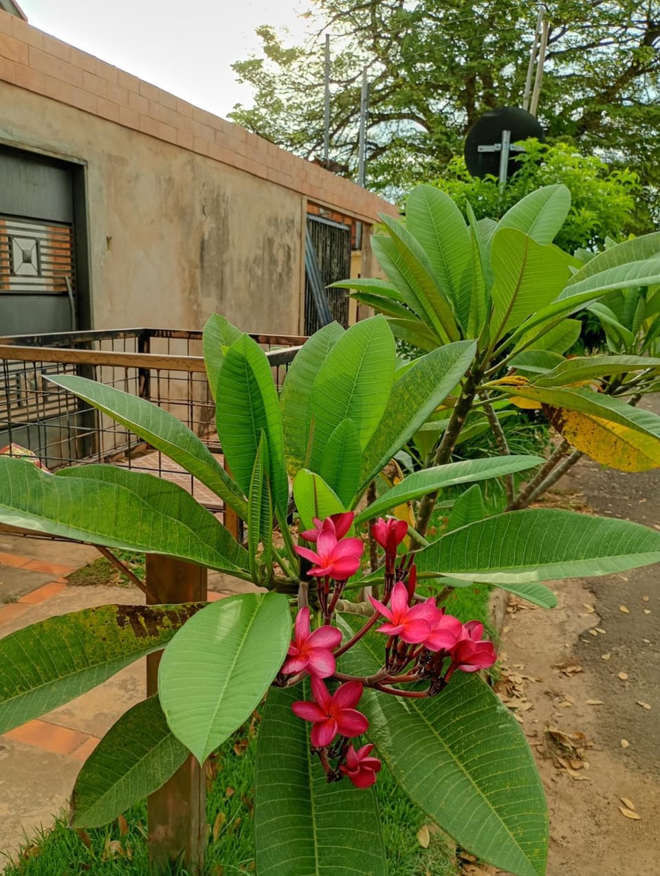 Quarto para Mulheres Vacation rental in Campo Grande