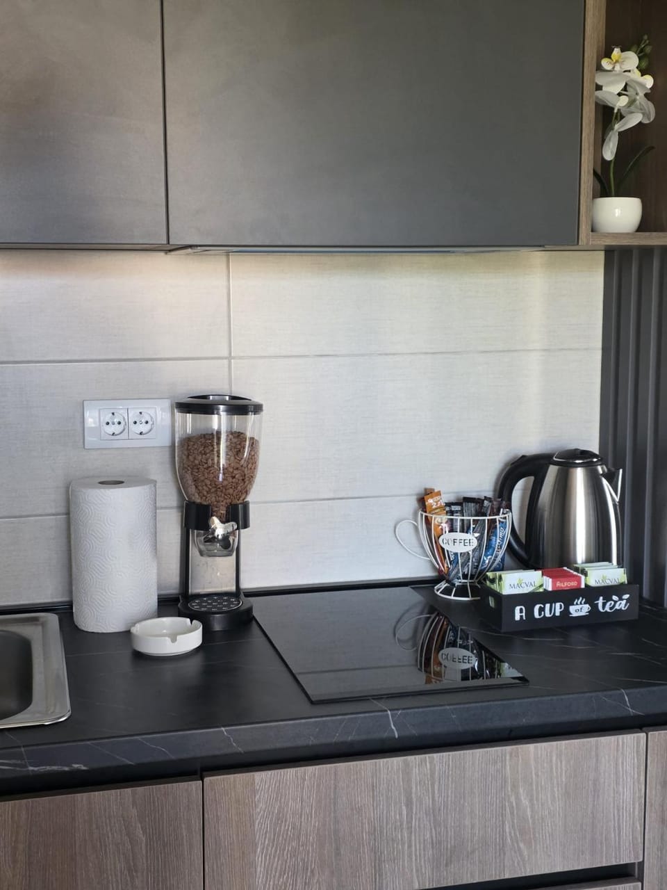 Coffee/tea facilities, Kitchen or kitchenette, minibar, stove, toaster