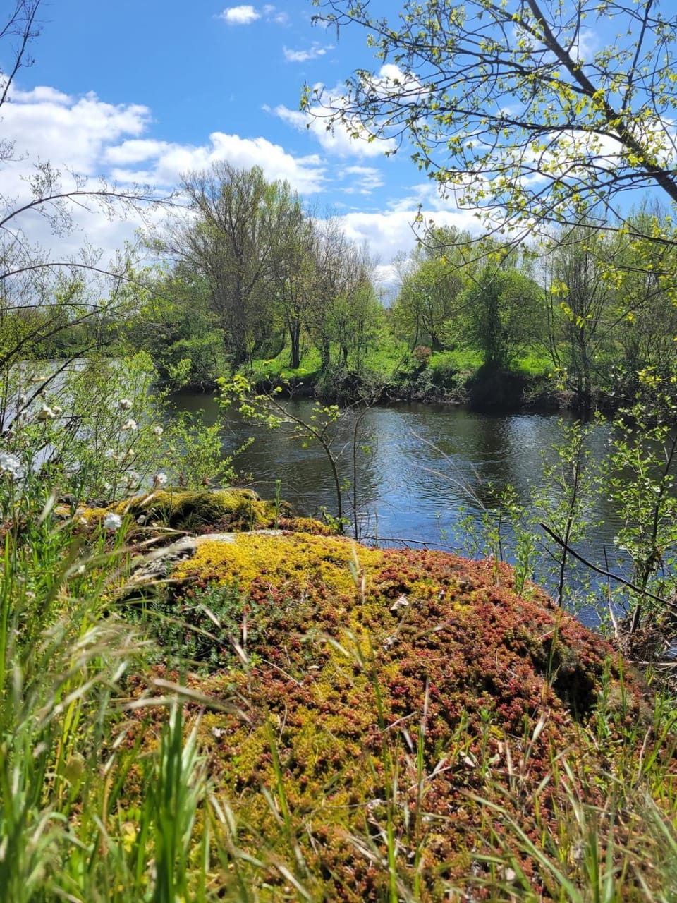 La Chalmette rivière et nature House in Auvergne-Rhône-Alpes