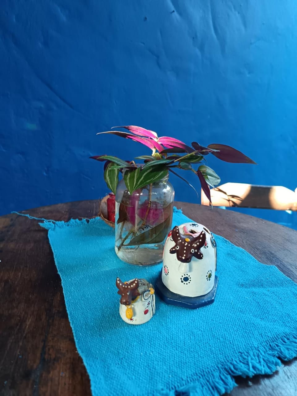Casa Flor House in State of Bahia
