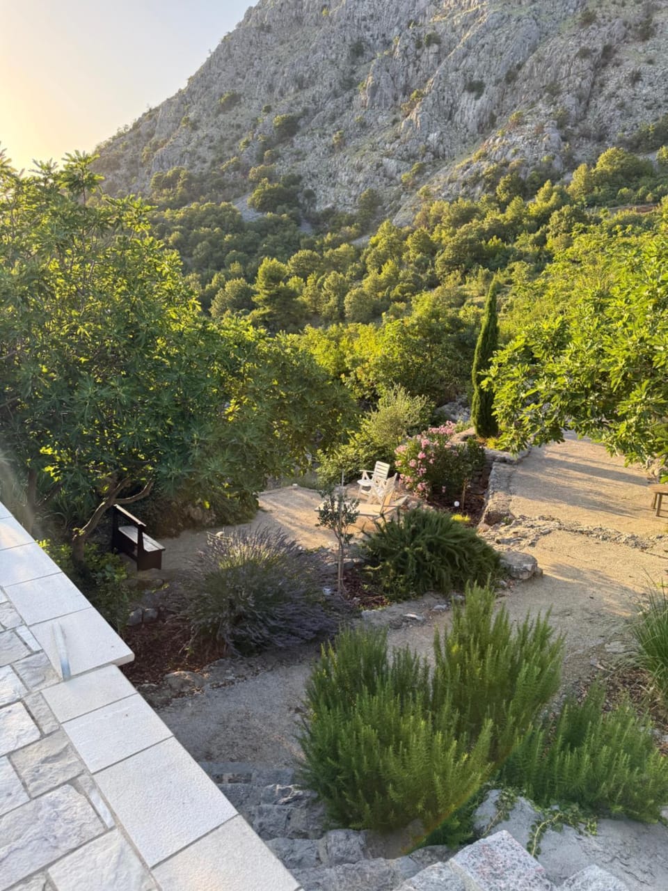 Mediterranean story House in Podgorica