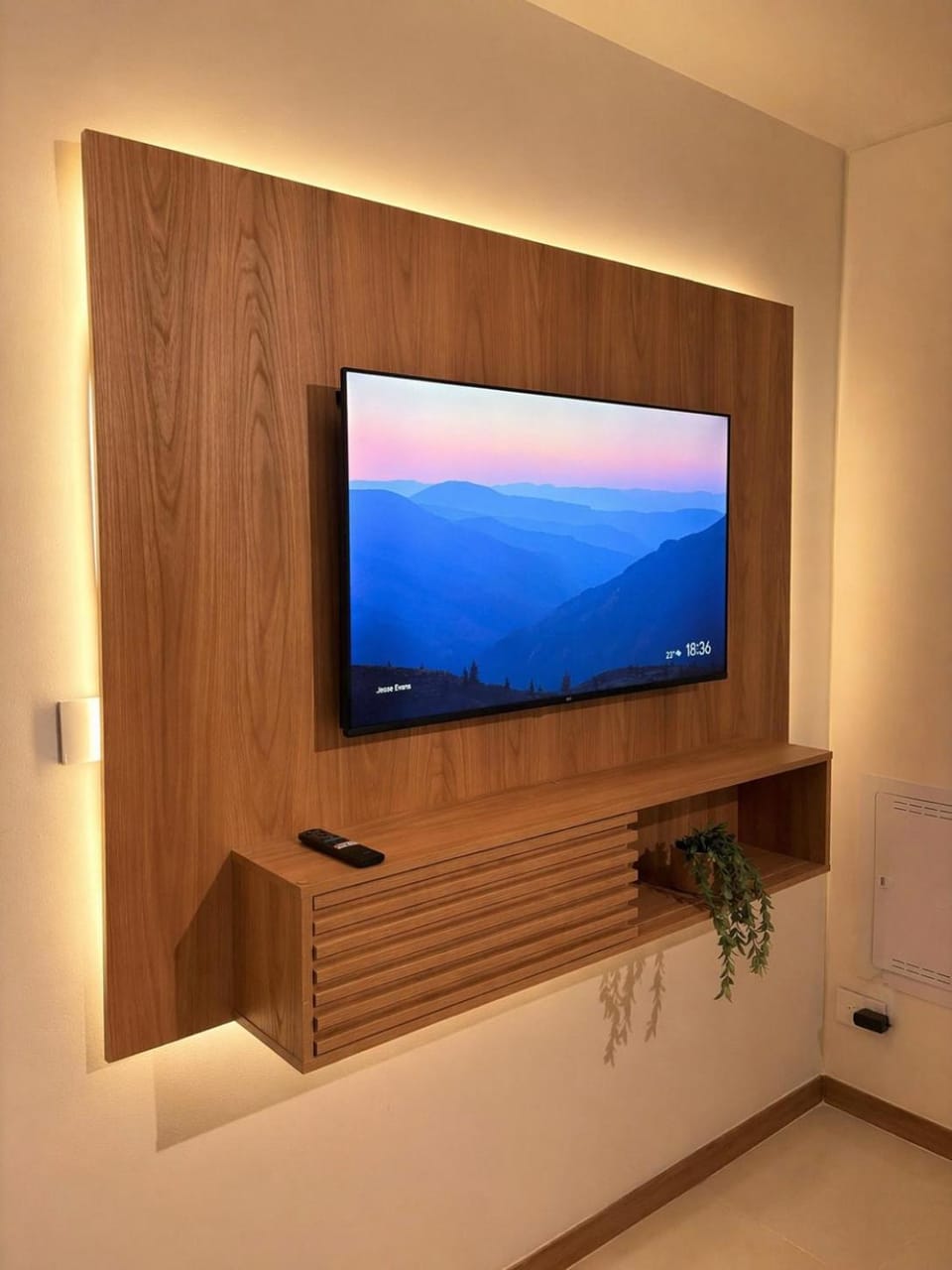 TV and multimedia