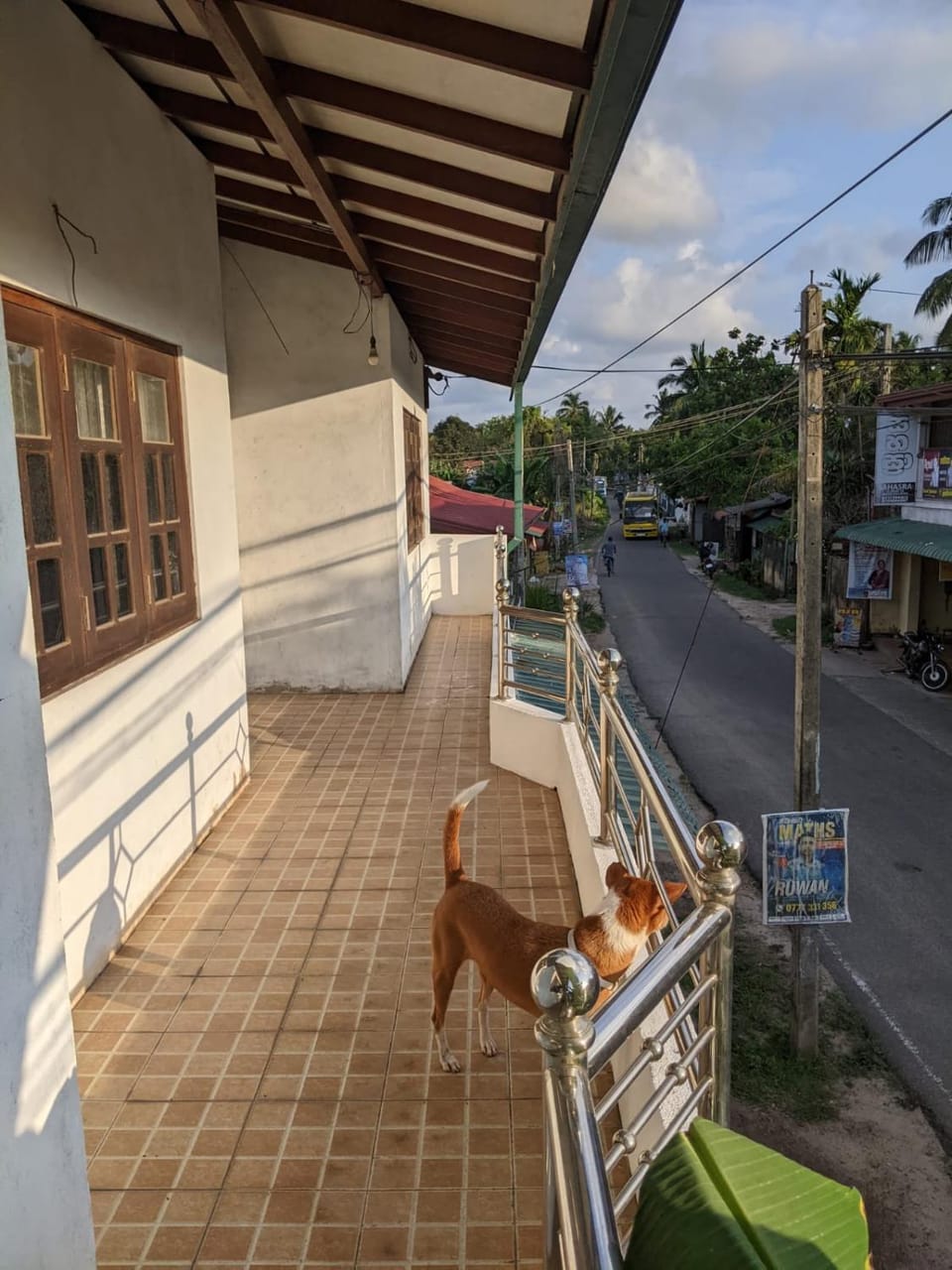 stay in flying House in Colombo