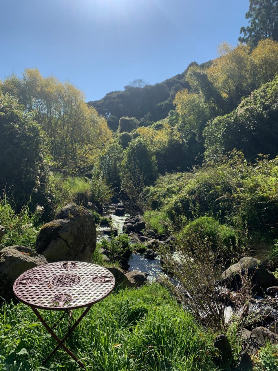 Vintage Decor Caravan Campground/ 
RV Resort in Akaroa