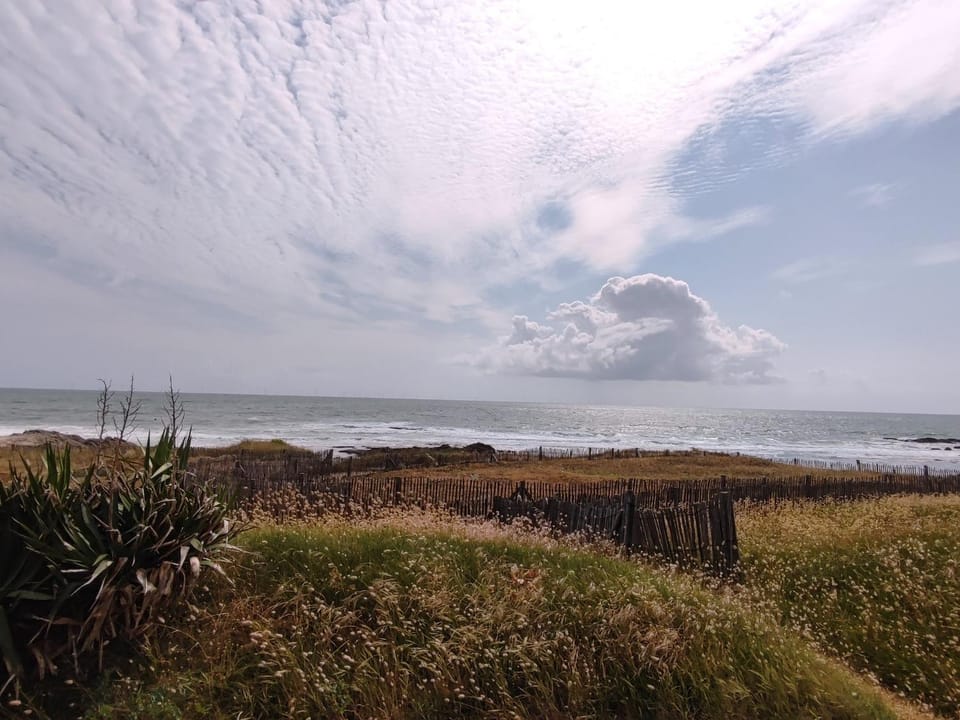 Maison familiale, accès direct plage - 9 pers. - FR-1-843-65 House in Batz-sur-Mer