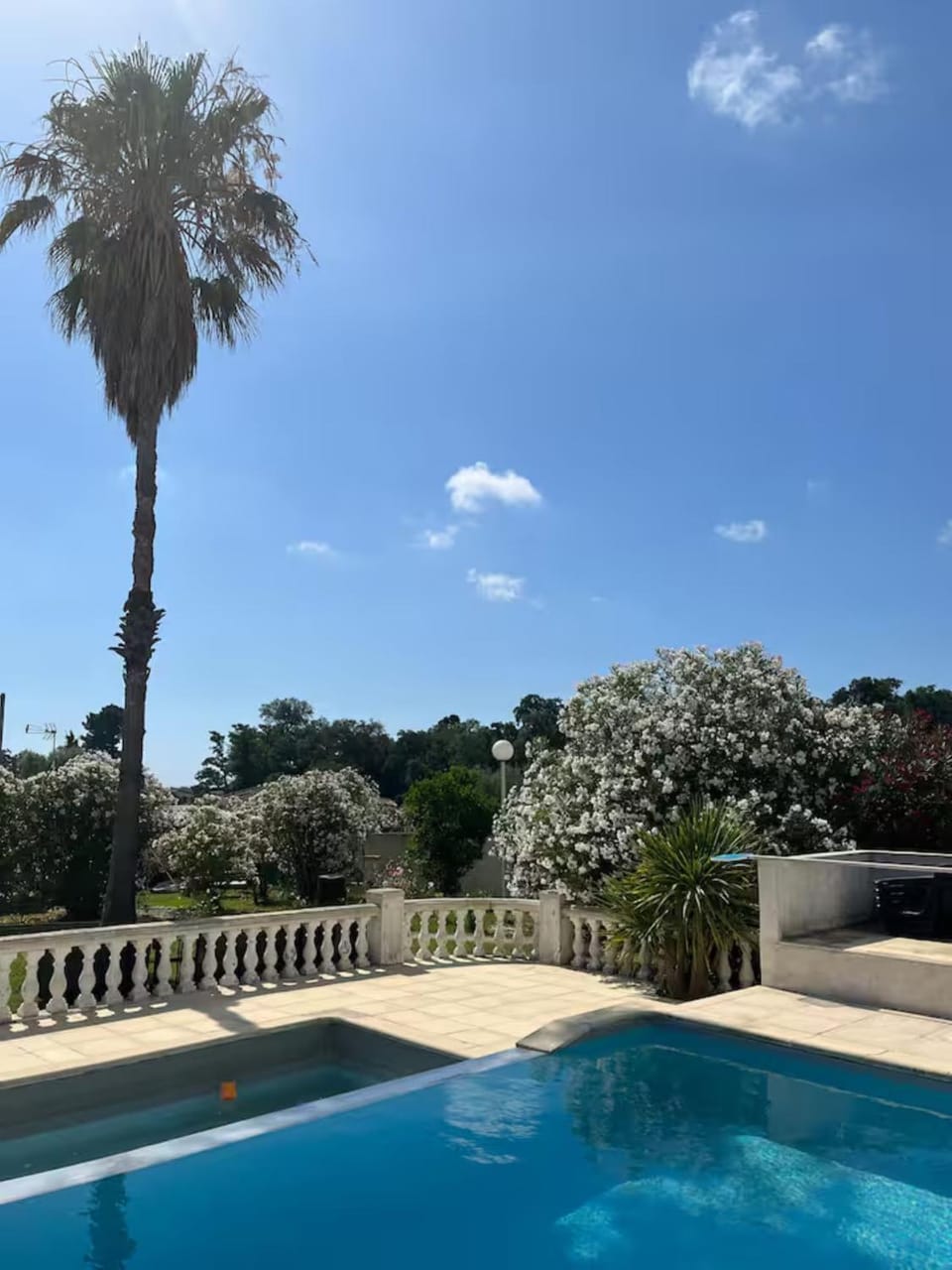 Garden, Garden view, Pool view, Swimming pool, sunbed