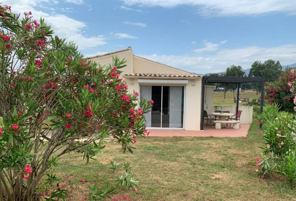 Property building, Patio, Garden, Garden view