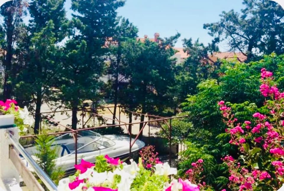 Villa Sila Bed and Breakfast in Novalja