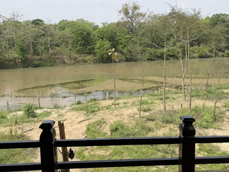 River view