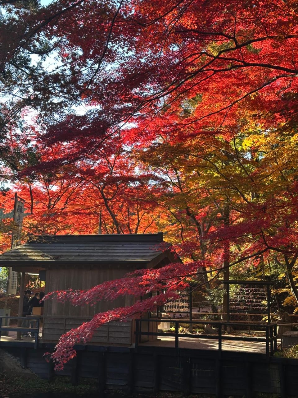 世界遺産平泉の一軒家ステ 国際シェアハウス Room3 Bed and Breakfast in Miyagi Prefecture