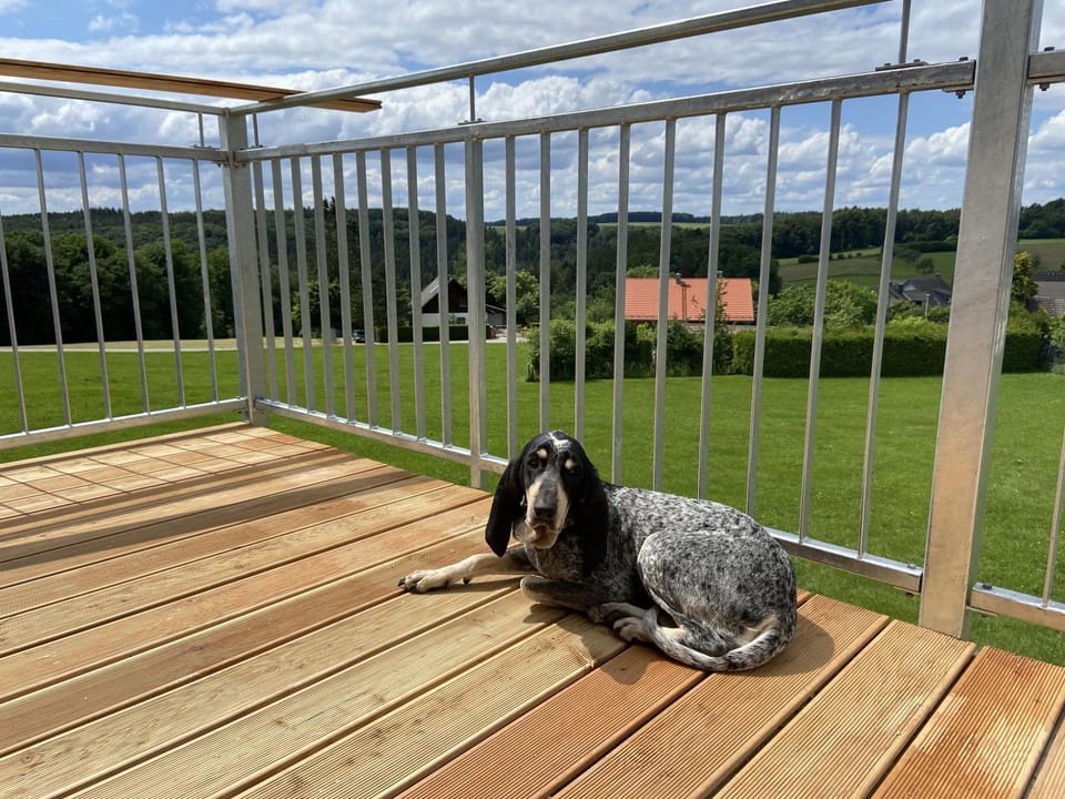Haus Schönblick Apartment in Bavaria