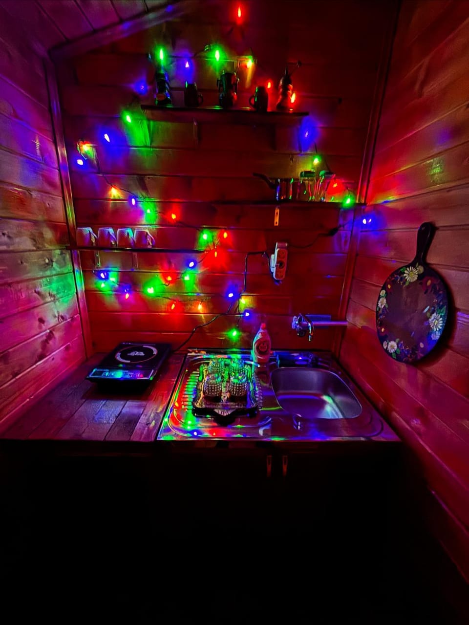 Koliba kraj puta Apartment in Serbia