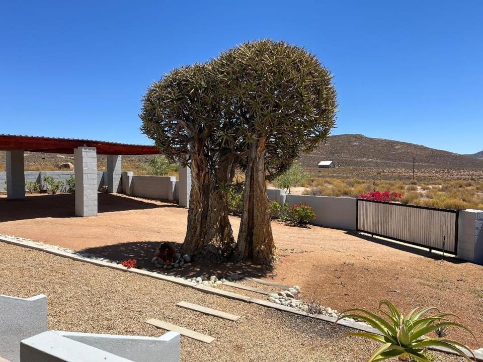 Rosemary Cottage - Charming 4-Sleeper Namaqualand Retreat House in South Africa