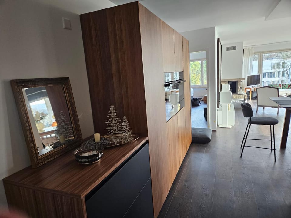Zurich's Best Apartment in Zurich City