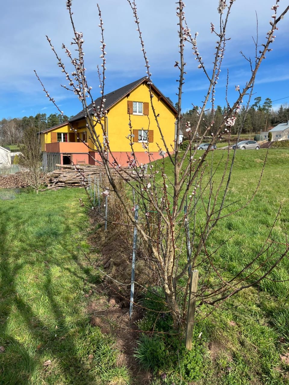 Property building, Spring, Day, Natural landscape, Garden