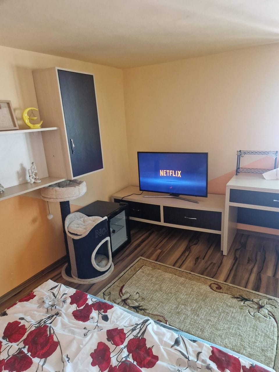 Communal lounge/ TV room, Bed, TV and multimedia, Bedroom