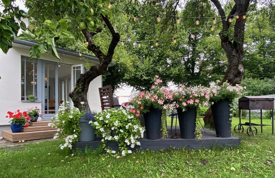 Inner courtyard view