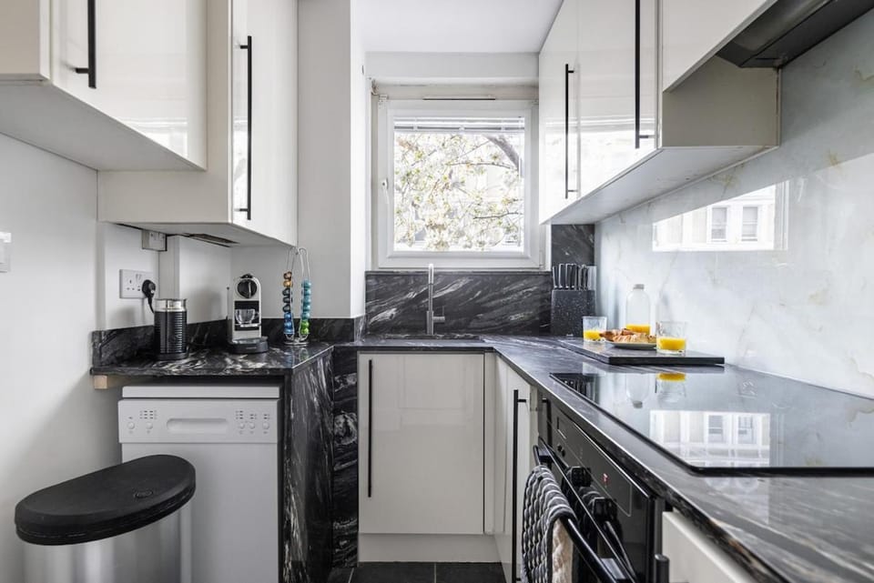 Kitchen or kitchenette, kitchen