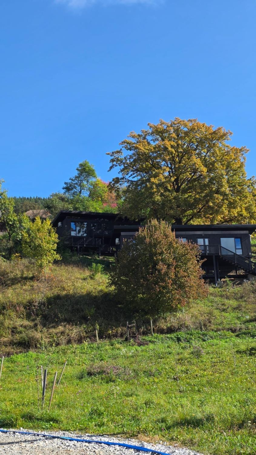 Natural landscape, Garden view