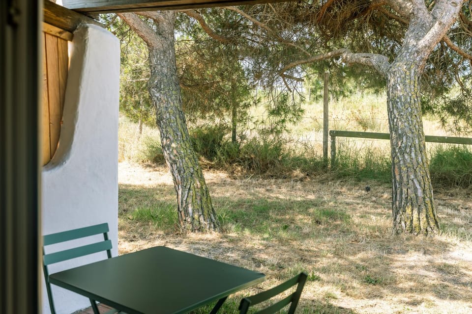 Patio, Day, Garden, Garden view