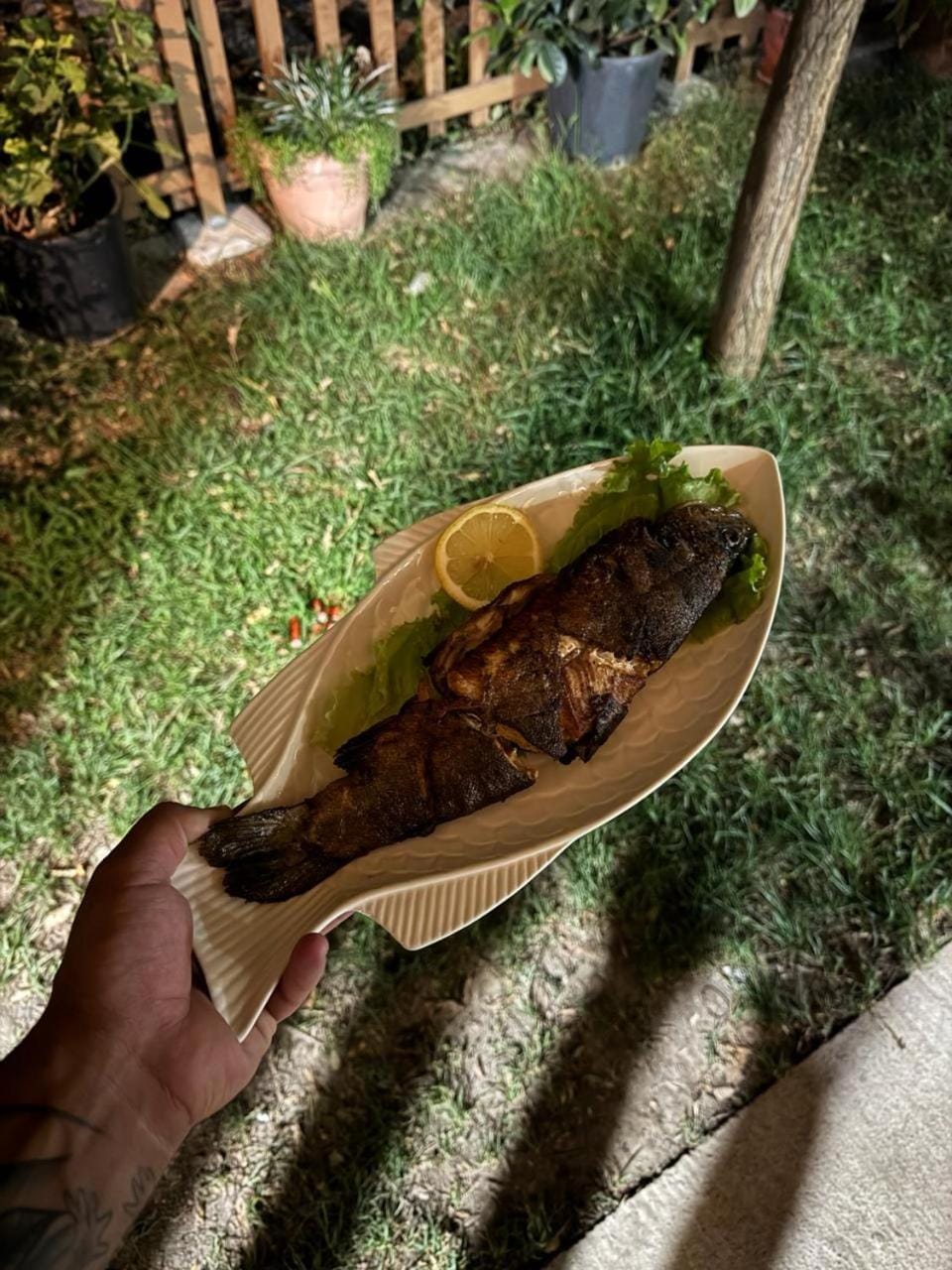 Camping Koman Campground/ 
RV Resort in Montenegro