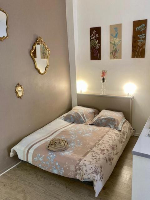 Albi-Suite Apartment in Albi