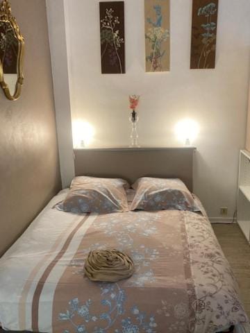 Albi-Suite Apartment in Albi