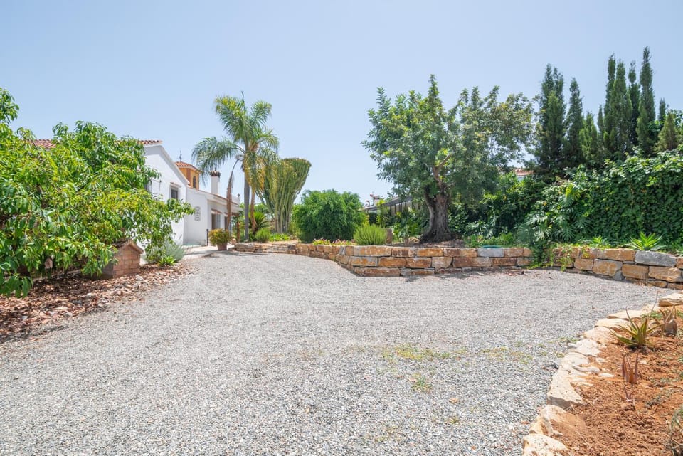 Garden view