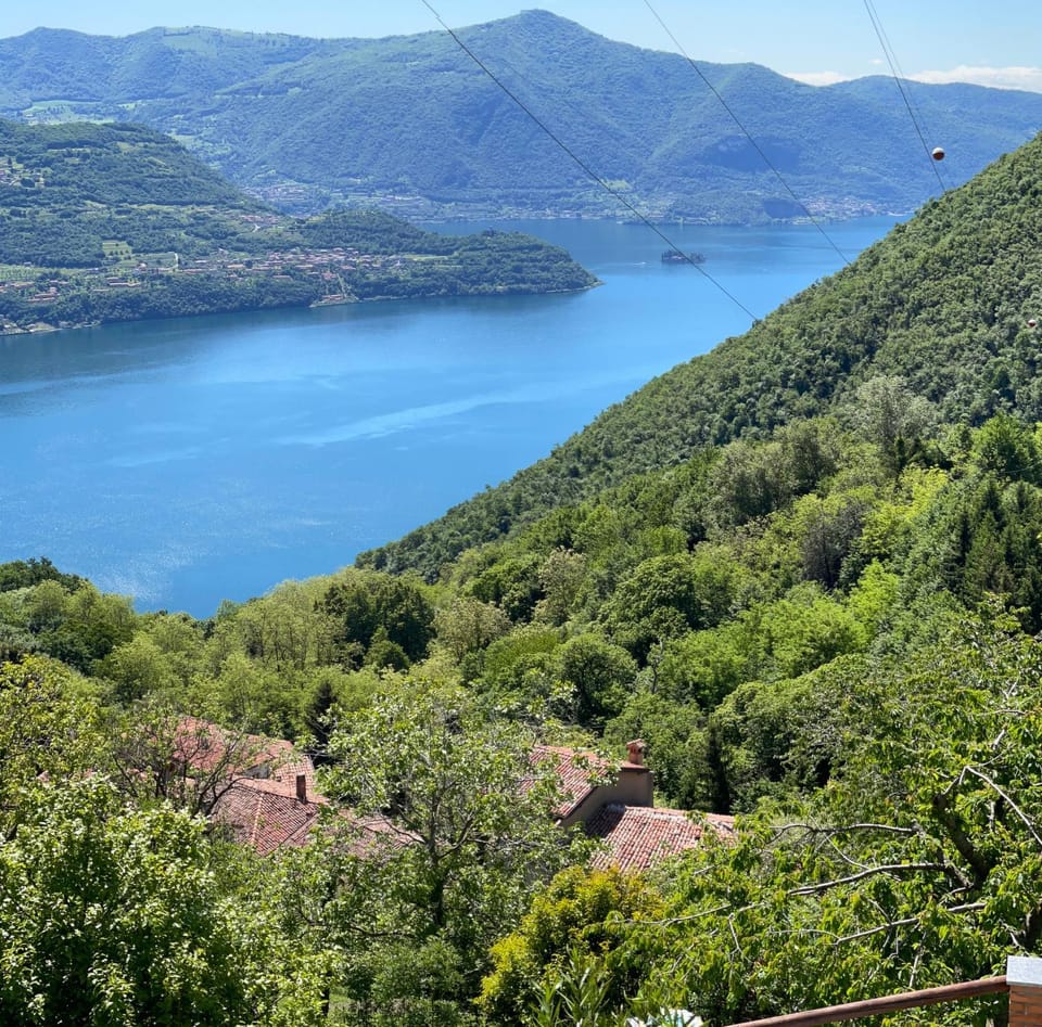 Lake view