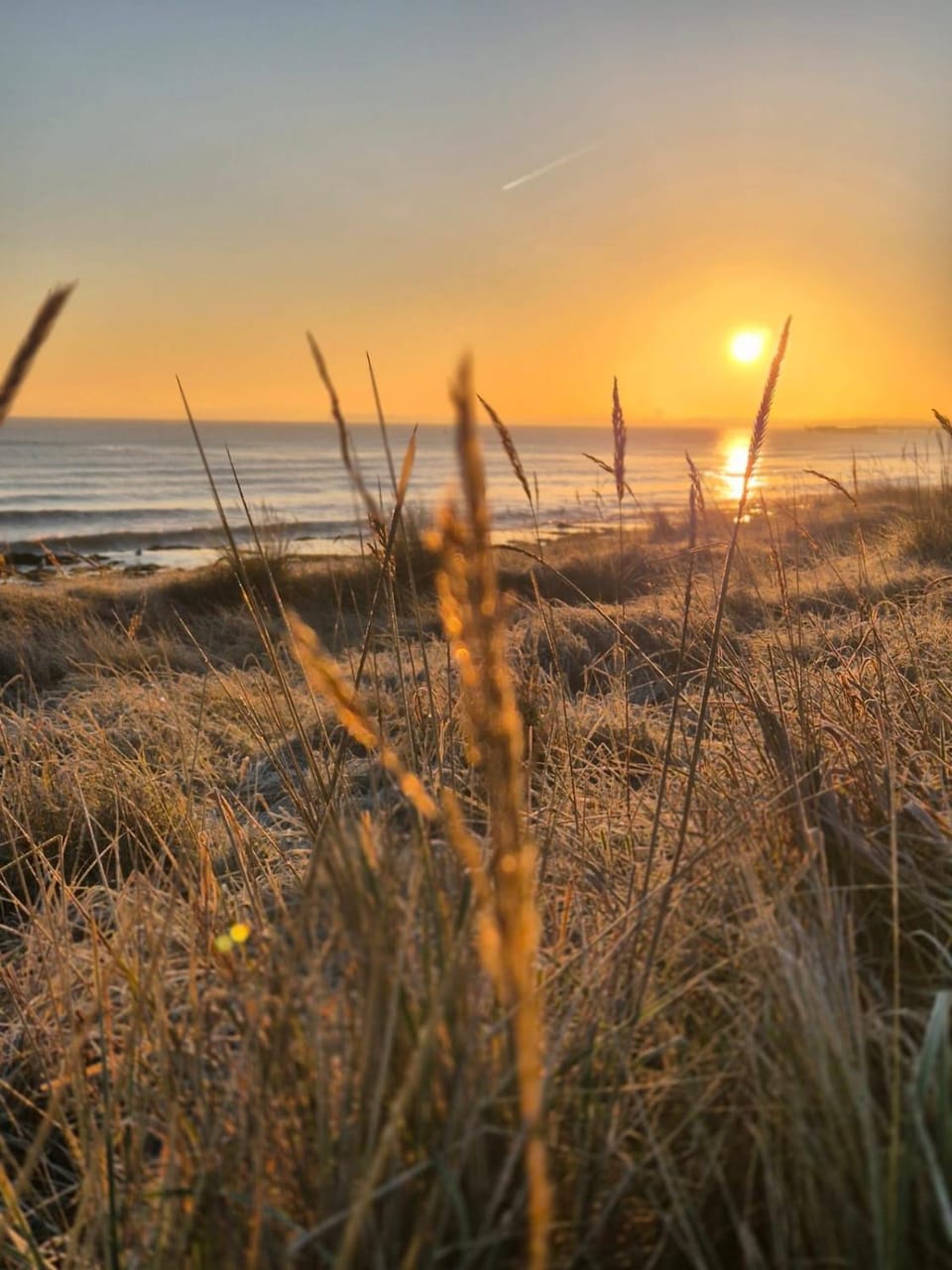 Natural landscape, Beach, Sunset